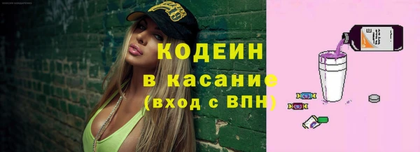 молекула духа Алзамай